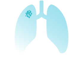 Lung Icon