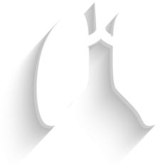 Lung Icon